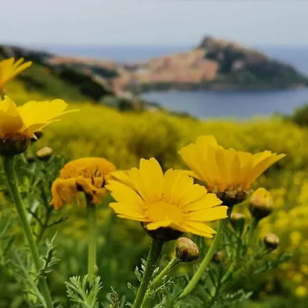 Belvedere كاستيلساردو
