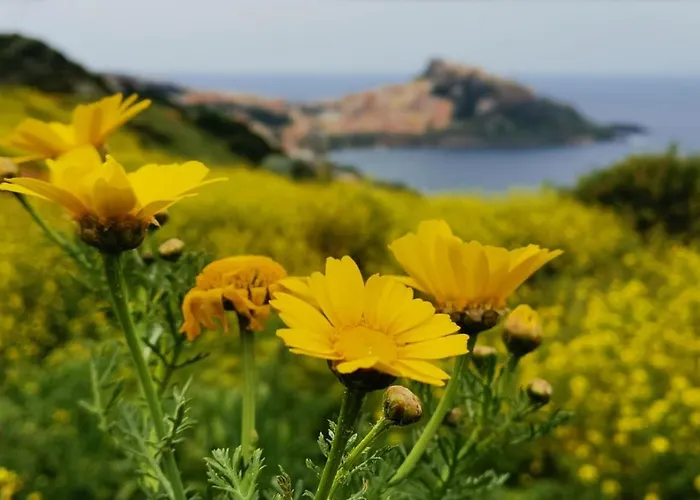 Belvedere Castelsardo